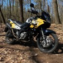 VSTROM DL 650 2004 - 2011 WORLD YELLOW
